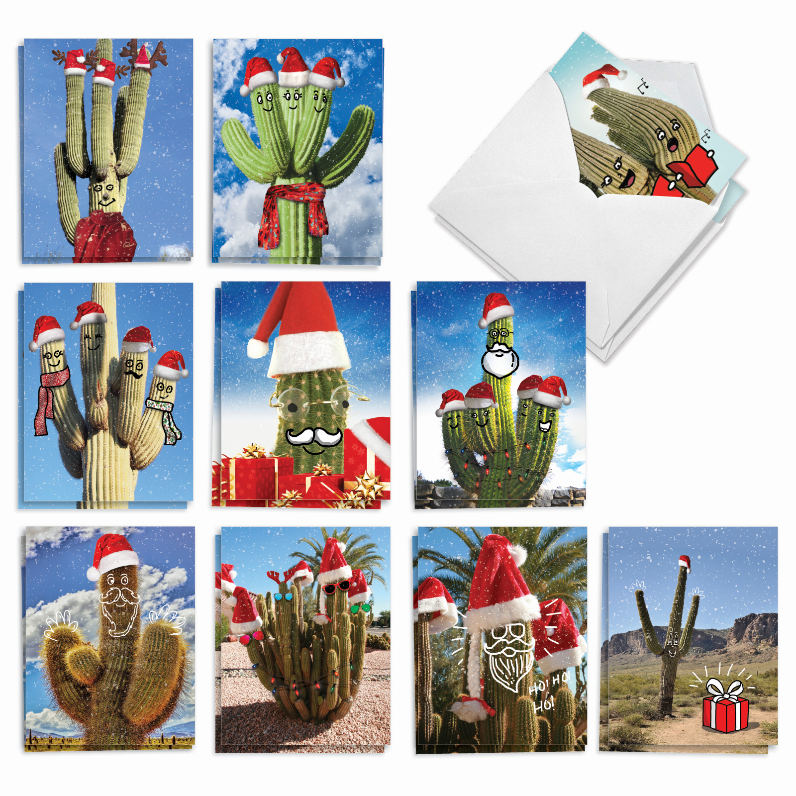 phoenix cactus Poncho and Lefty main image 1